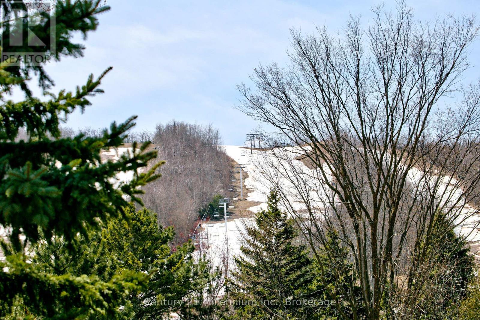 117 Craigleith Walk, Blue Mountains, Ontario L9Y 0S3 - Photo 30 - X12106502