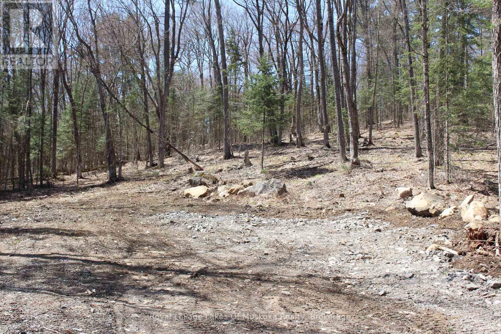 0000 South Ril Lake Road, Lake Of Bays, Ontario  P0B 1A0 - Photo 4 - X12109908