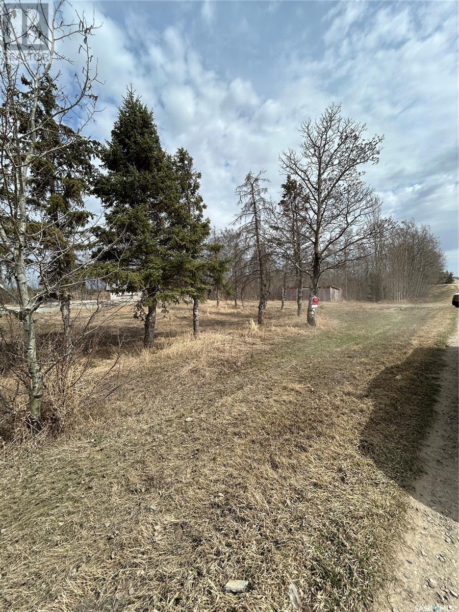 Mcgregor Acreage, Star City, Saskatchewan  S0E 0B9 - Photo 8 - SK994209