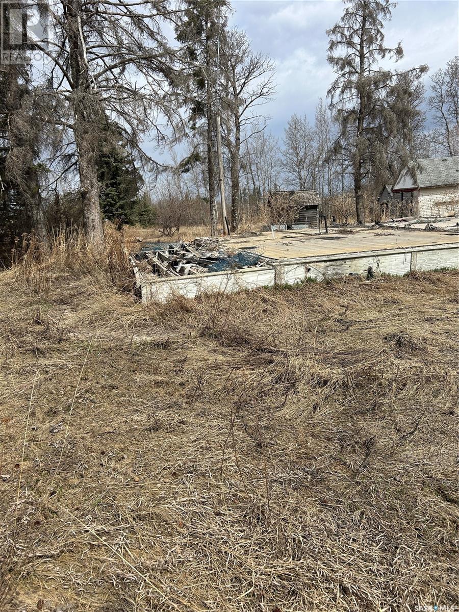 Mcgregor Acreage, Star City, Saskatchewan  S0E 0B9 - Photo 4 - SK994209