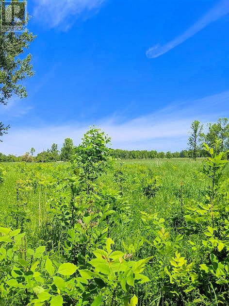 Third Lot Beach South Road, Kagawong, Ontario  P0P 1J0 - Photo 13 - 2121939