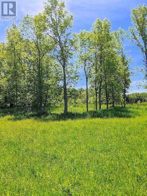 Second Lot Beach South Road, Kagawong, Ontario  P0P 1J0 - Photo 14 - 2121938