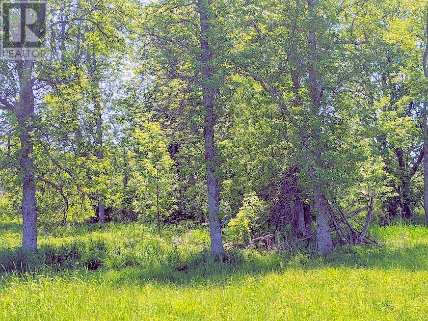 Second Lot Beach South Road, Kagawong, Ontario  P0P 1J0 - Photo 16 - 2121938