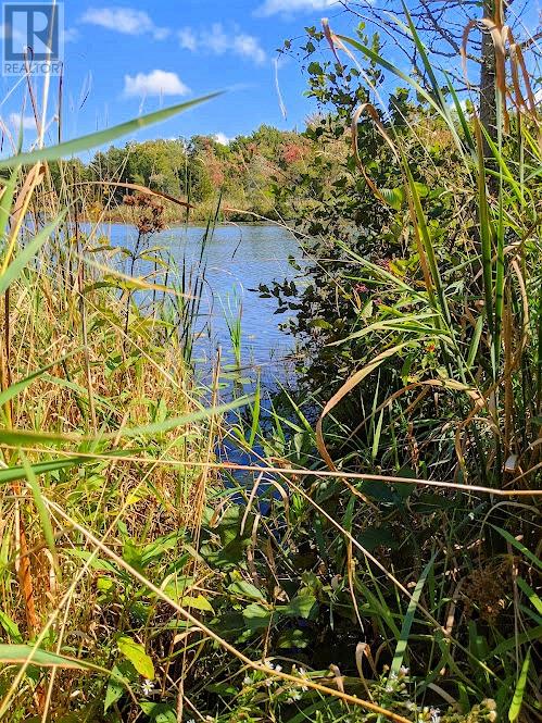 Second Lot Beach South Road, Kagawong, Ontario  P0P 1J0 - Photo 20 - 2121938