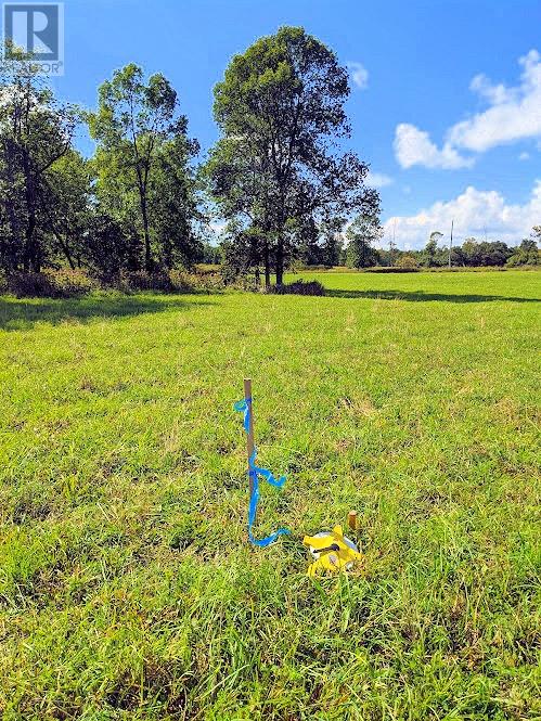 Second Lot Beach South Road, Kagawong, Ontario  P0P 1J0 - Photo 6 - 2121938