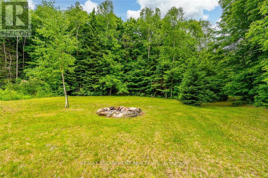 17182 Hwy 118, Highlands East, Ontario  K0M 1S0 - Photo 44 - X12023701