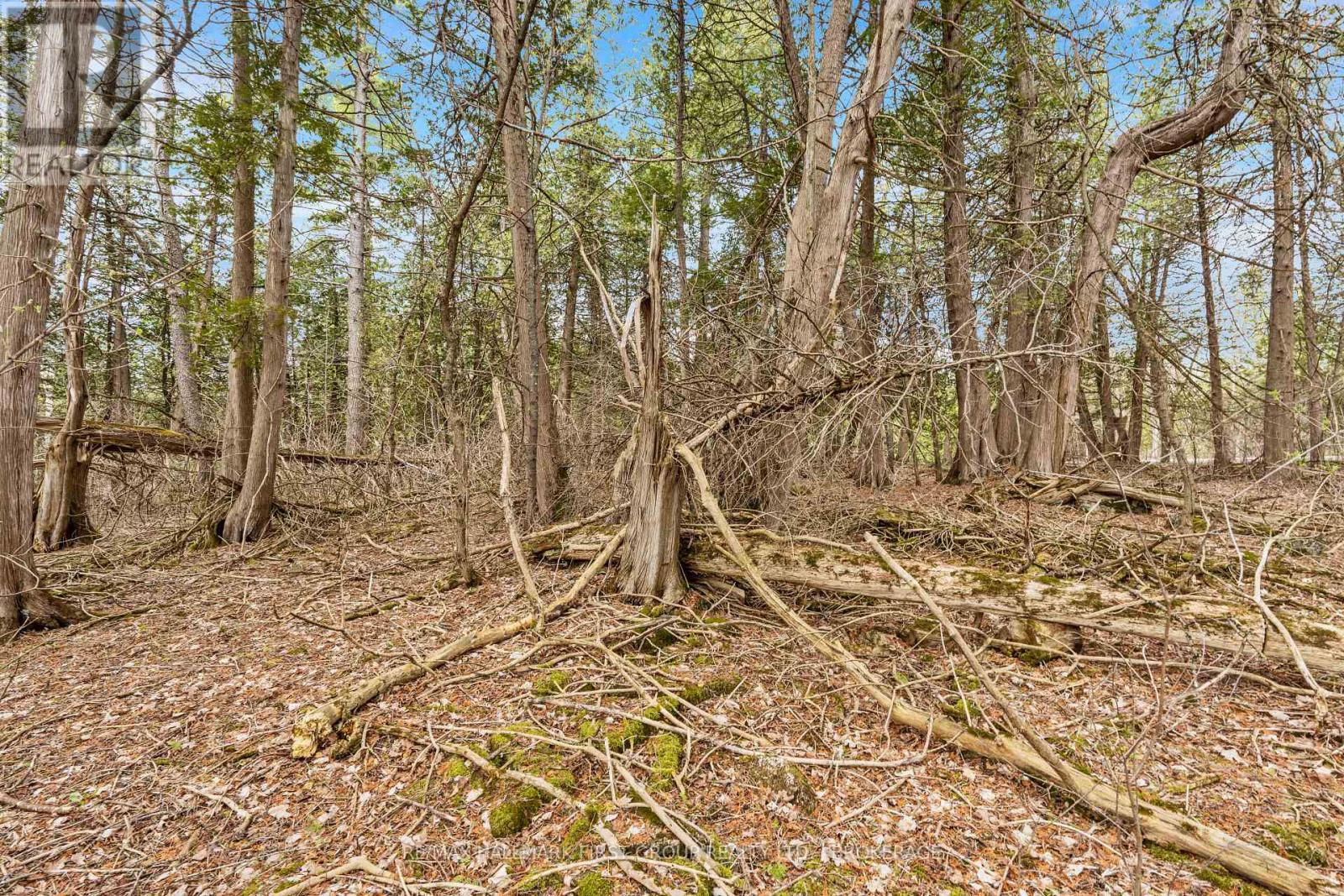 0 Park Road, Stone Mills, Ontario  K0K 1N0 - Photo 10 - X12111381