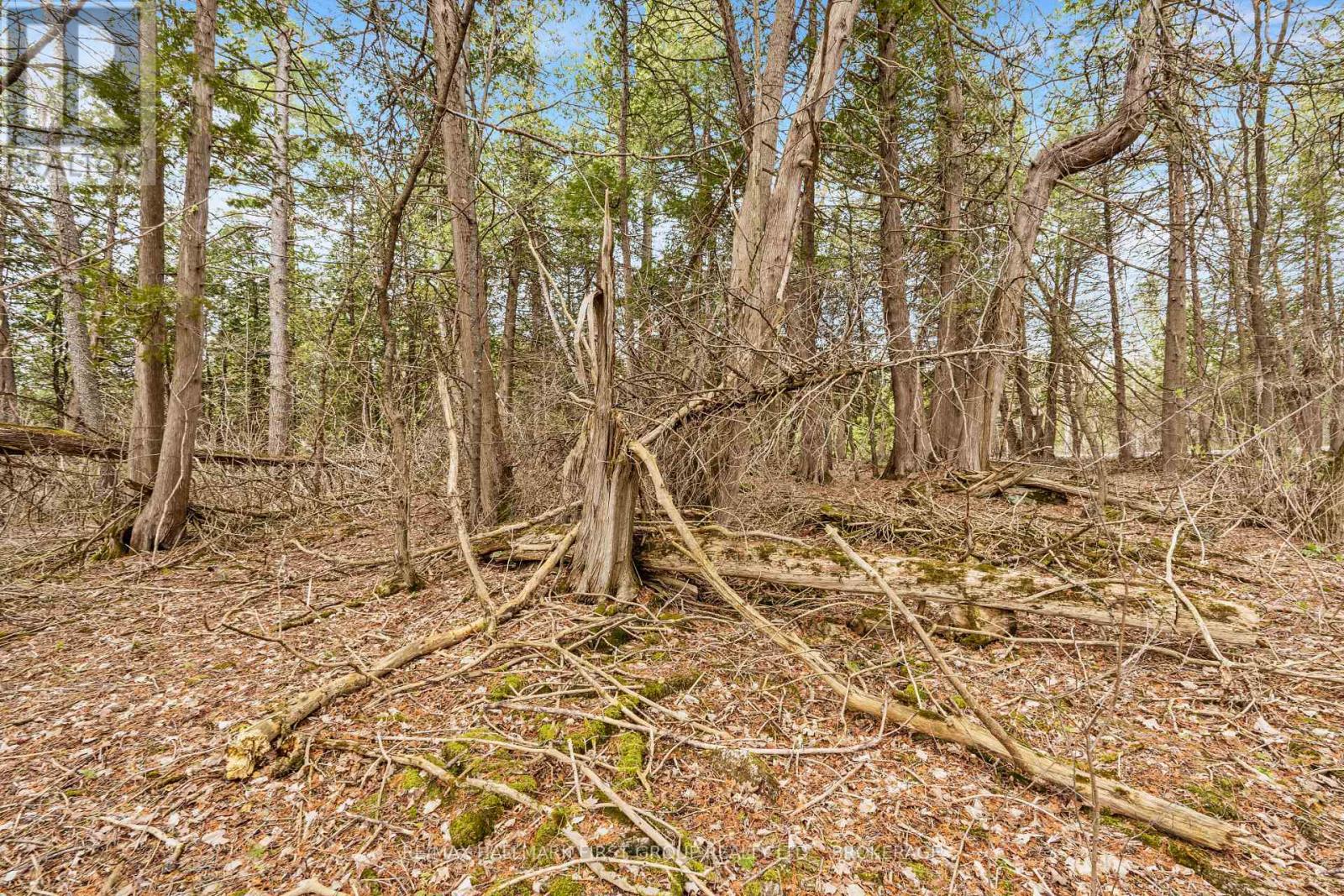 0 Park Road, Stone Mills, Ontario  K0K 1N0 - Photo 11 - X12111381