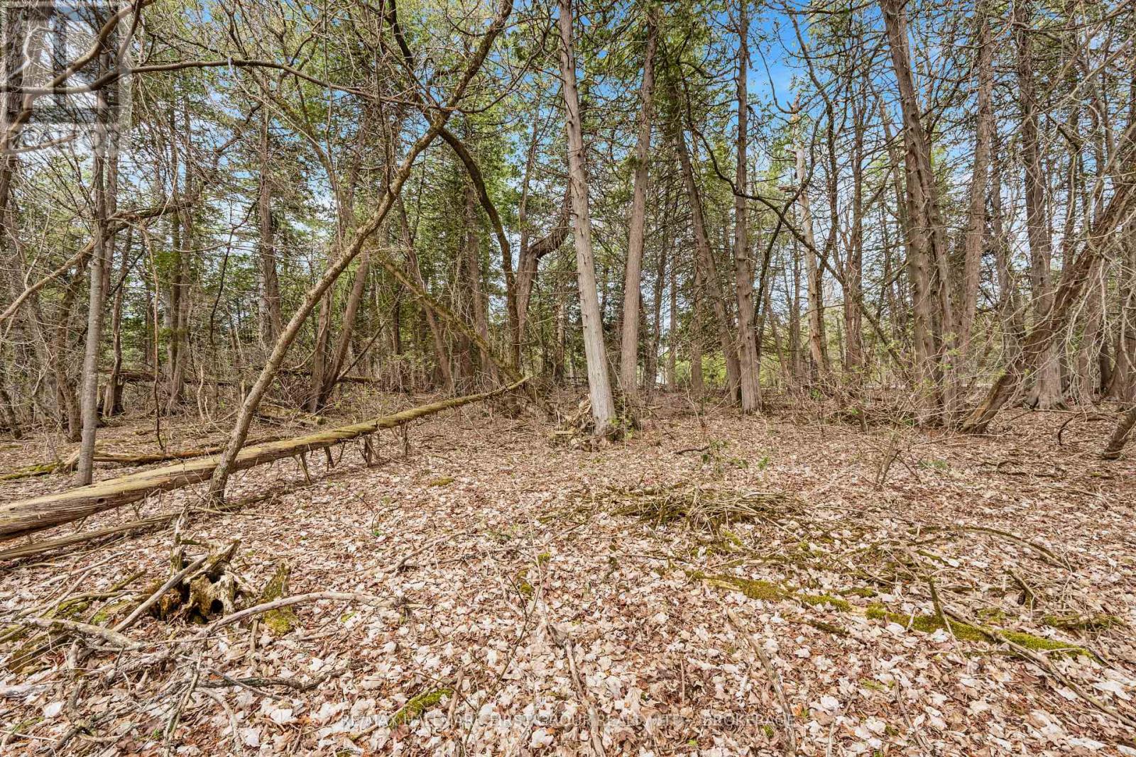 0 Park Road, Stone Mills, Ontario  K0K 1N0 - Photo 12 - X12111381