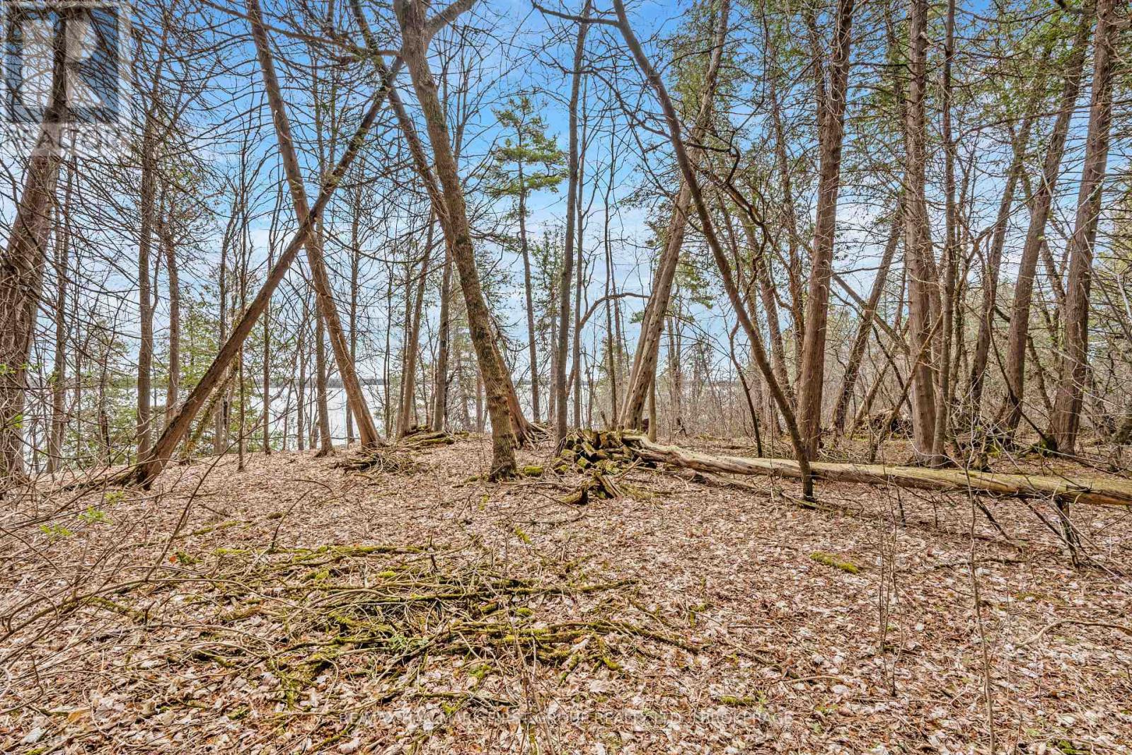 0 Park Road, Stone Mills, Ontario  K0K 1N0 - Photo 13 - X12111381