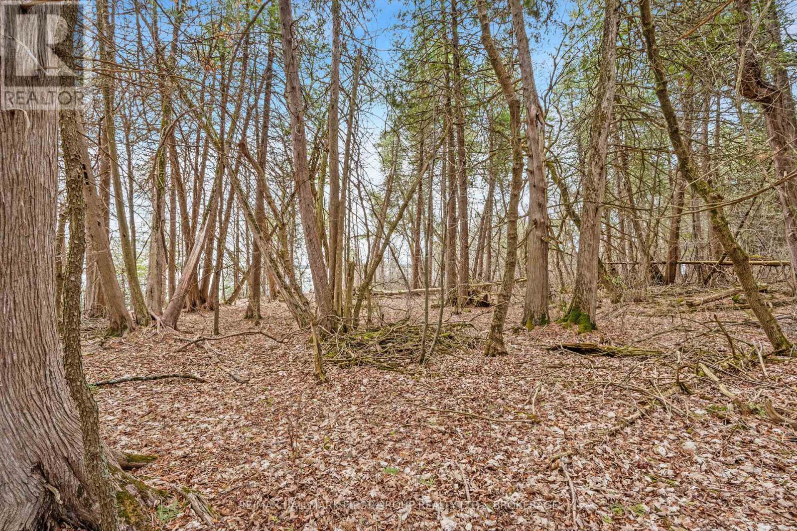 0 Park Road, Stone Mills, Ontario  K0K 1N0 - Photo 14 - X12111381