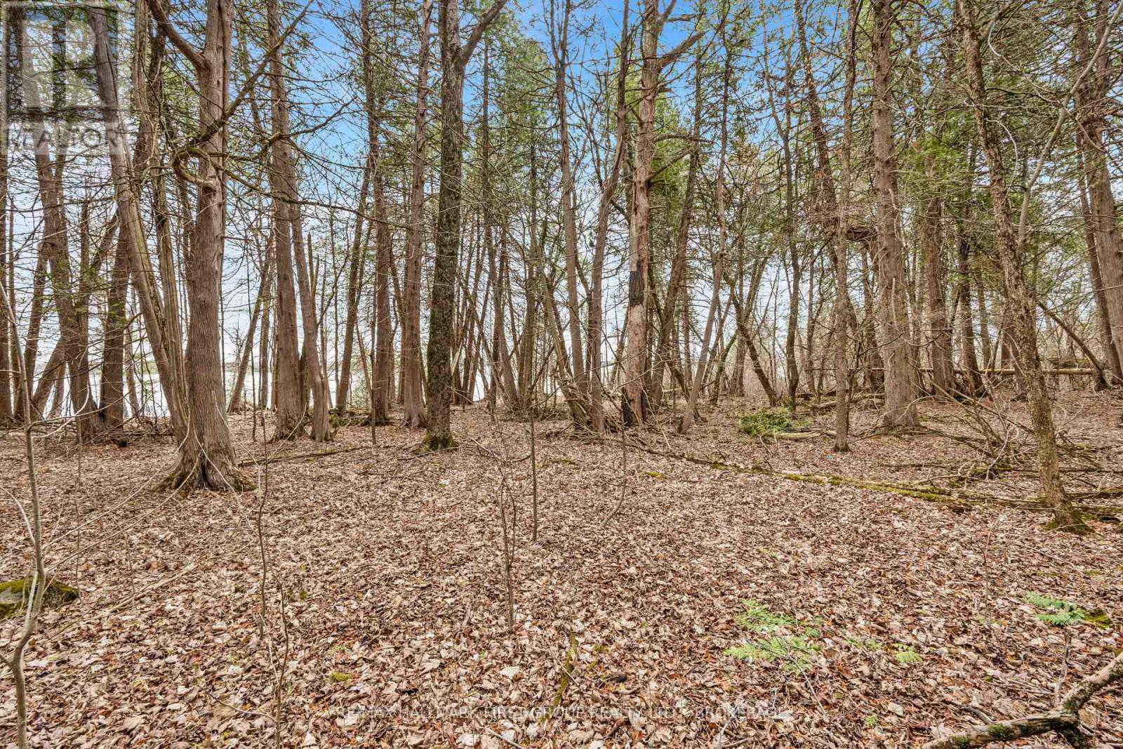 0 Park Road, Stone Mills, Ontario  K0K 1N0 - Photo 15 - X12111381