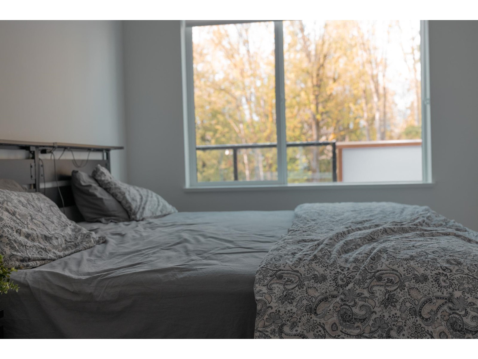 411 31900 Raven Avenue, Mission, British Columbia  V2V 0H5 - Photo 15 - R2996057