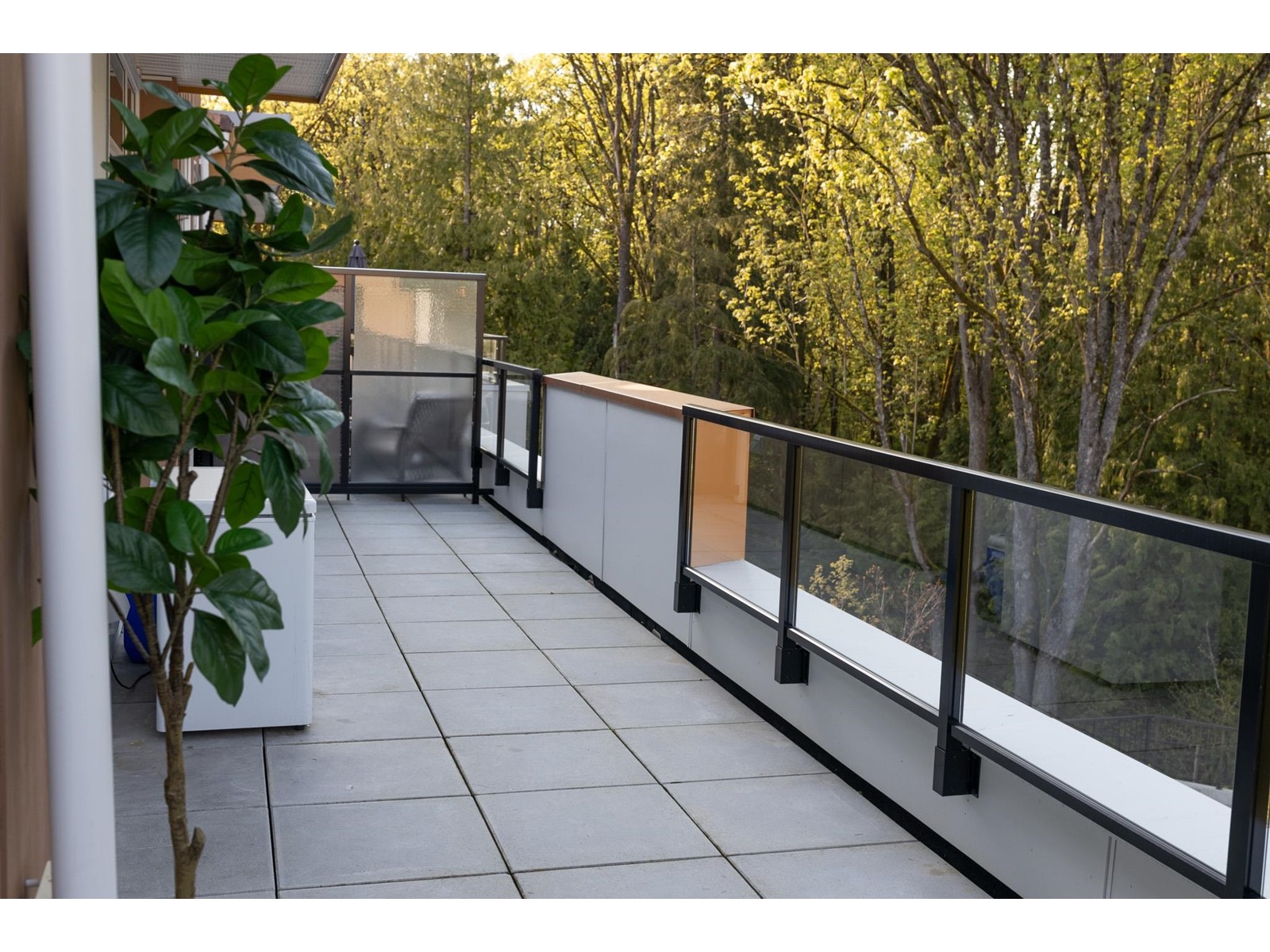 411 31900 Raven Avenue, Mission, British Columbia  V2V 0H5 - Photo 26 - R2996057