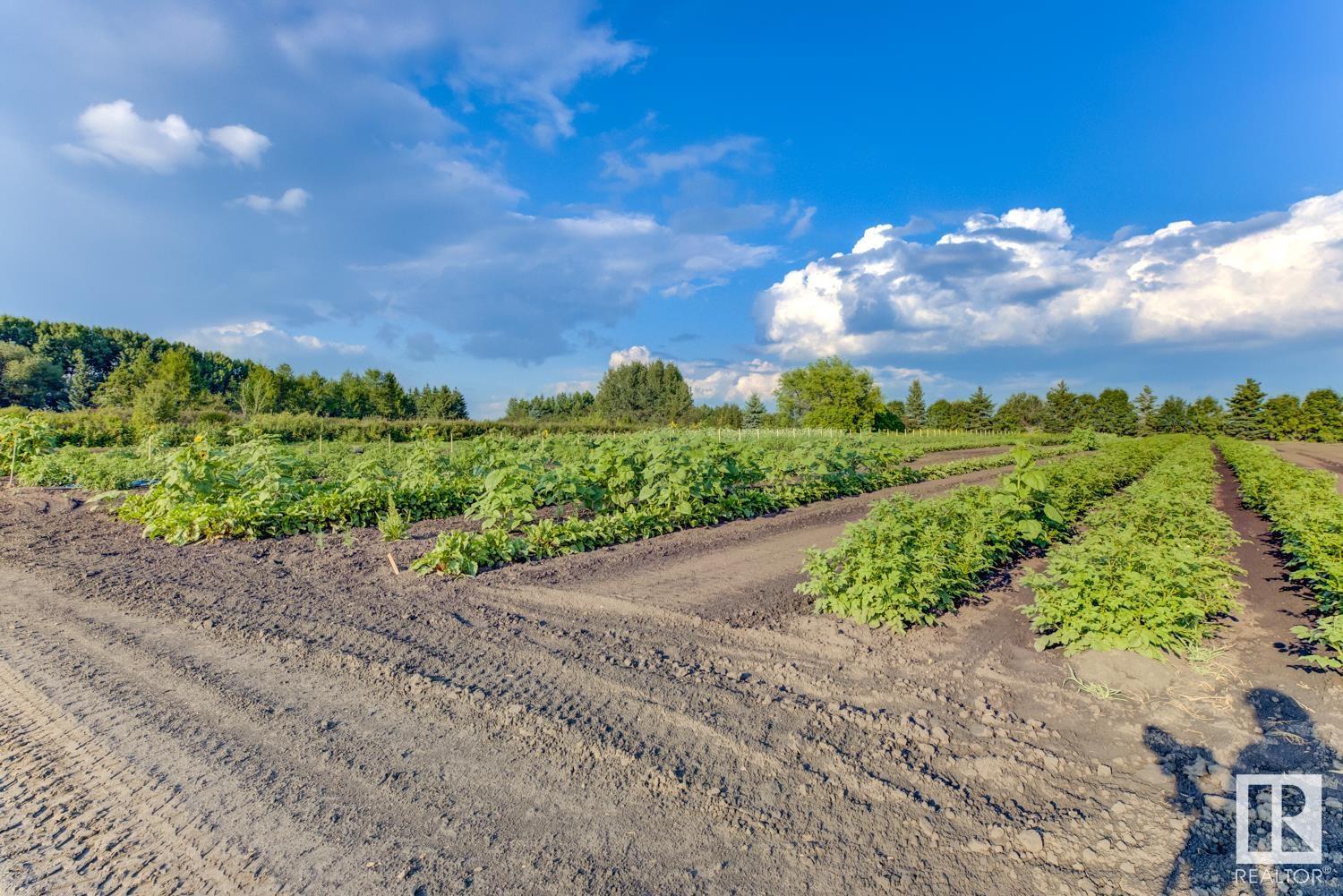 #1 52225 + 52217 Rge Road 273, Rural Parkland County, Alberta  T7X 3R6 - Photo 59 - E4408292