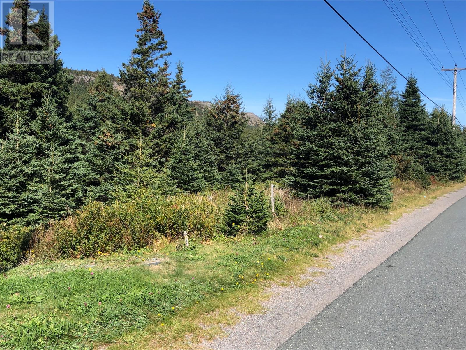 143 - 145 Seaforest Drive, Cupids, Newfoundland & Labrador