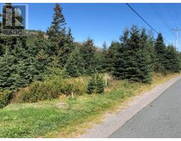 143 - 145 Seaforest Drive, Cupids, Newfoundland & Labrador