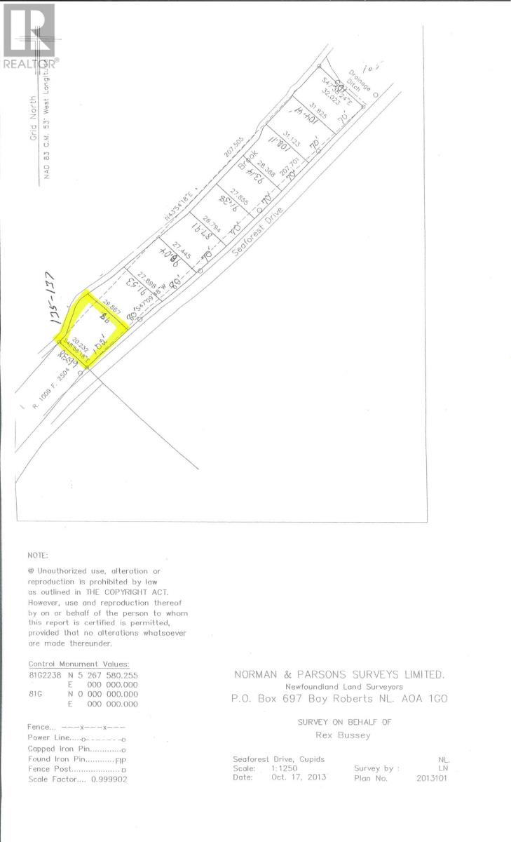 135 - 137 Seaforest Drive, Cupids, Newfoundland & Labrador  A0A 2B0 - Photo 2 - 1284296