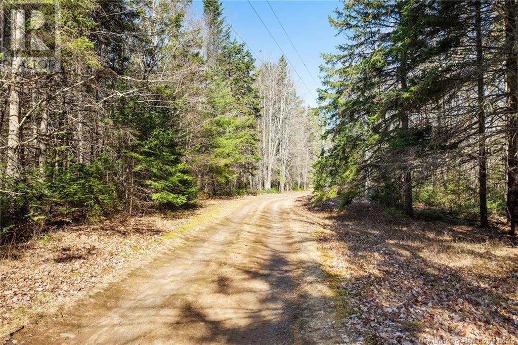 20 Branscombe Lane, Waterborough, New Brunswick  E4A 2X6 - Photo 29 - NB116731