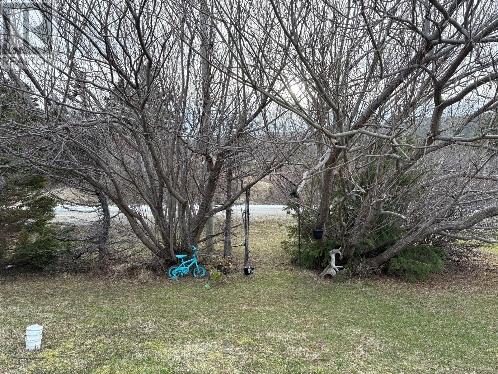 200 Main Road, Piccadilly, Newfoundland & Labrador  A0N 1T0 - Photo 5 - 1284351