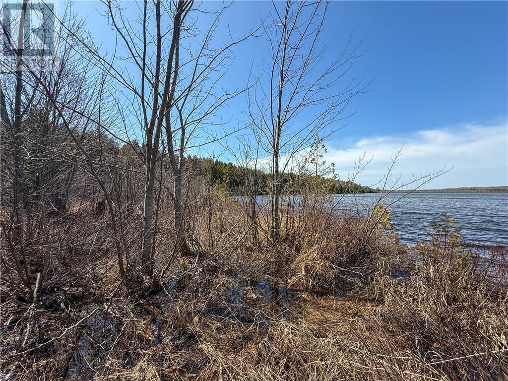 N/a Ice Lake Drive, Gore Bay, Ontario  P0P 1H0 - Photo 10 - 2121918