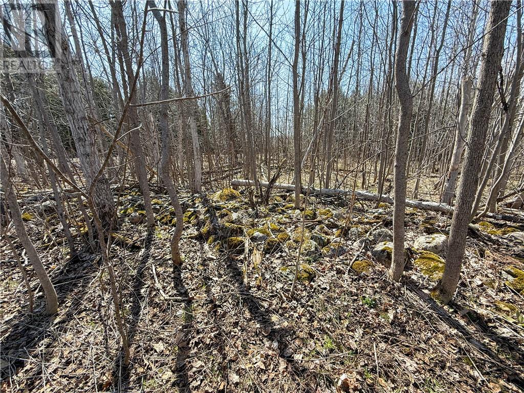 N/a Ice Lake Drive, Gore Bay, Ontario  P0P 1H0 - Photo 4 - 2121918