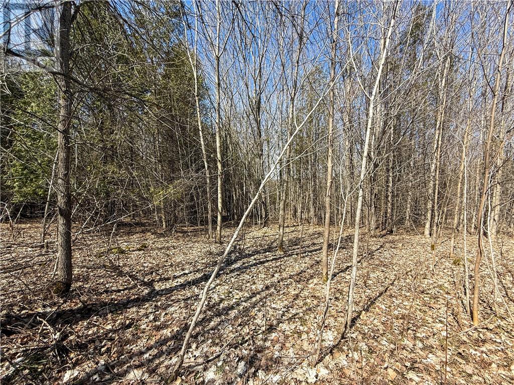 N/a Ice Lake Drive, Manitoulin Island, Ontario  P0P 1H0 - Photo 5 - 2121918