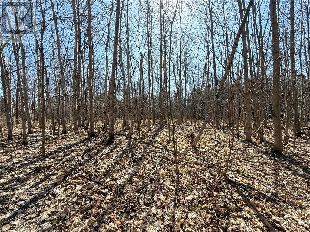 N/a Ice Lake Drive, Gore Bay, Ontario  P0P 1H0 - Photo 6 - 2121918