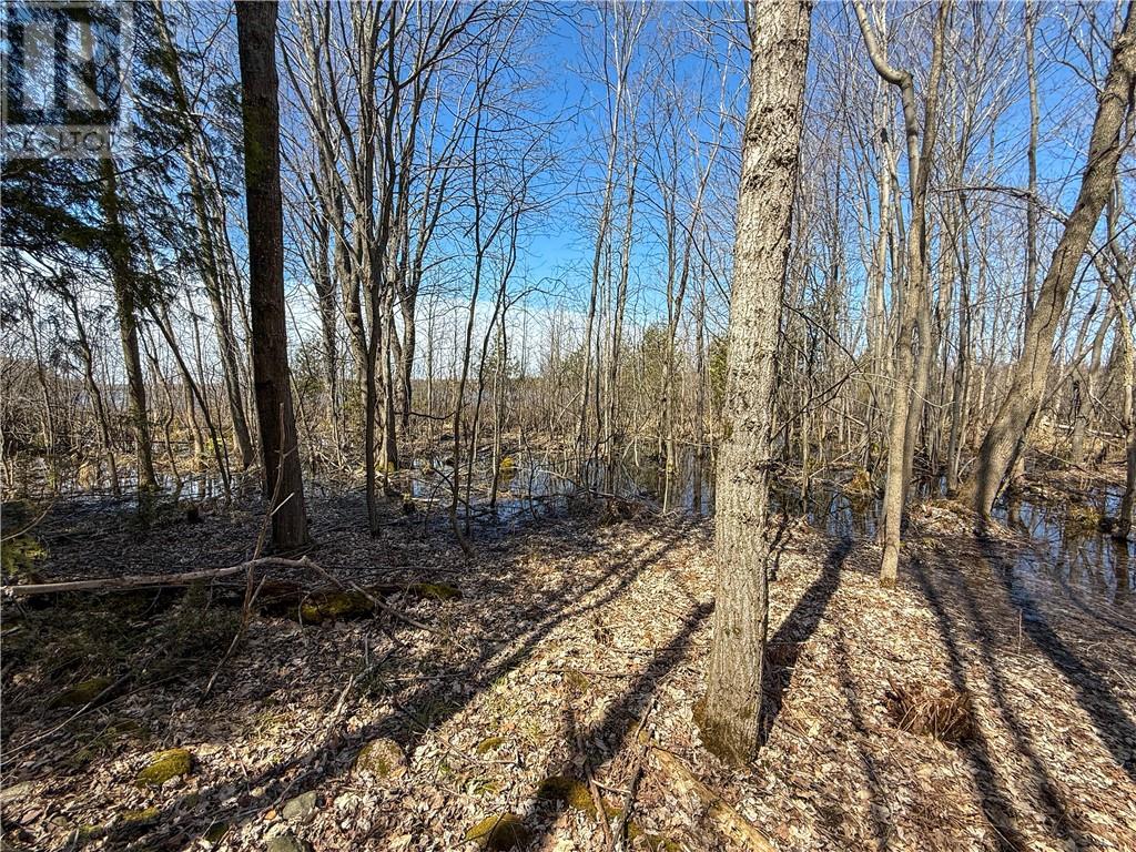 N/a Ice Lake Drive, Gore Bay, Ontario  P0P 1H0 - Photo 7 - 2121918