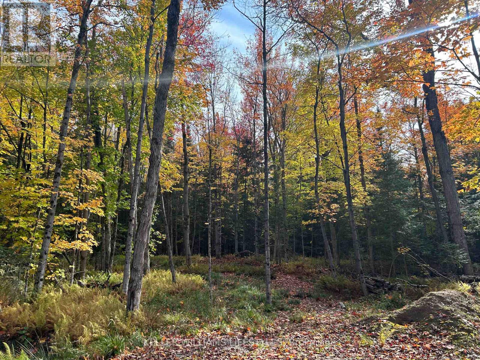 3191 Hwy 534, Nipissing, Ontario  P0H 1W0 - Photo 15 - X12111965