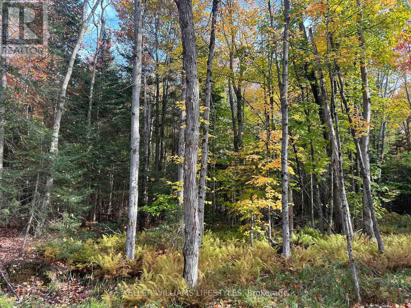 3191 Hwy 534, Nipissing, Ontario  P0H 1W0 - Photo 17 - X12111965