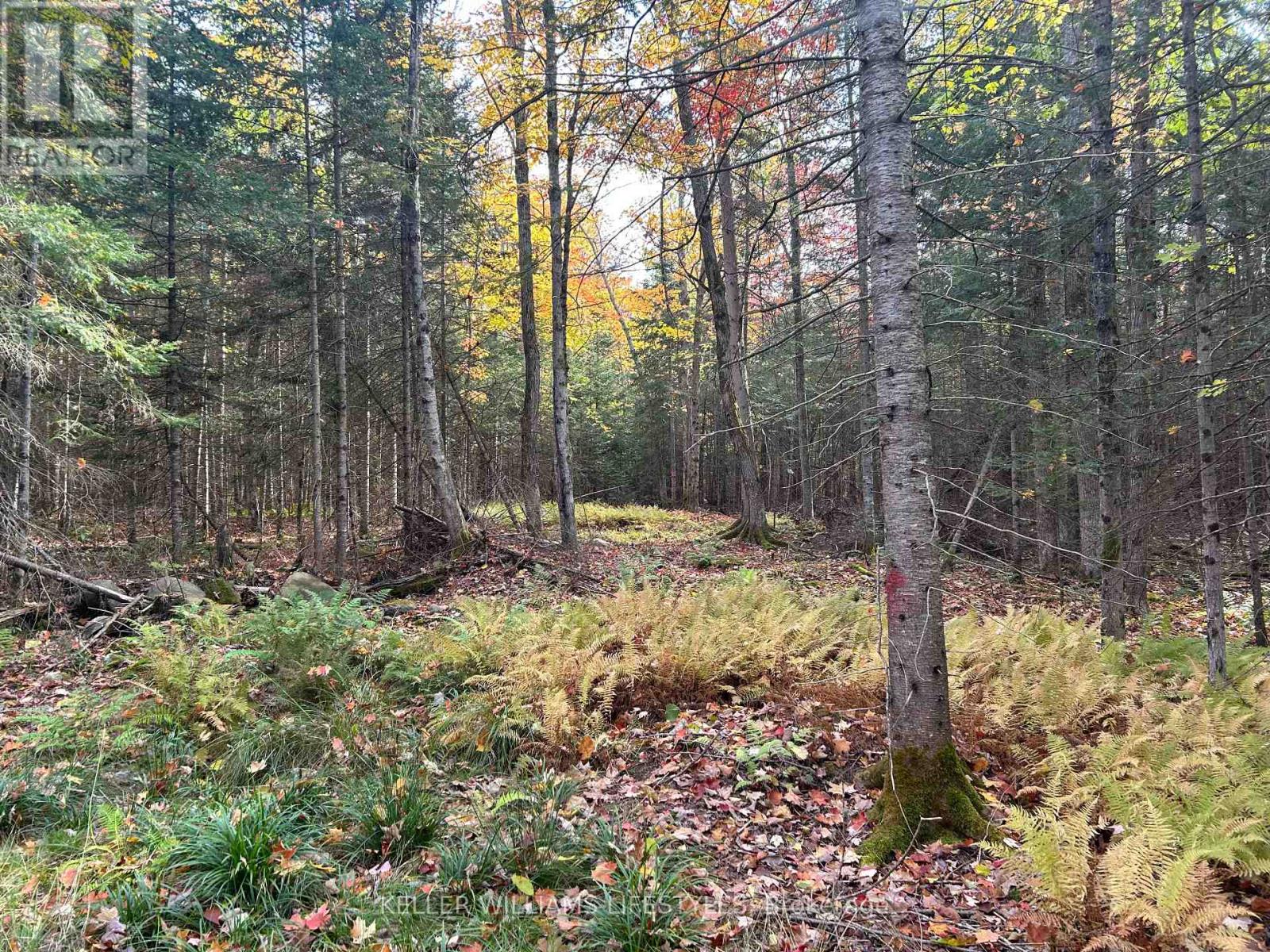 3191 Hwy 534, Nipissing, Ontario  P0H 1W0 - Photo 20 - X12111965