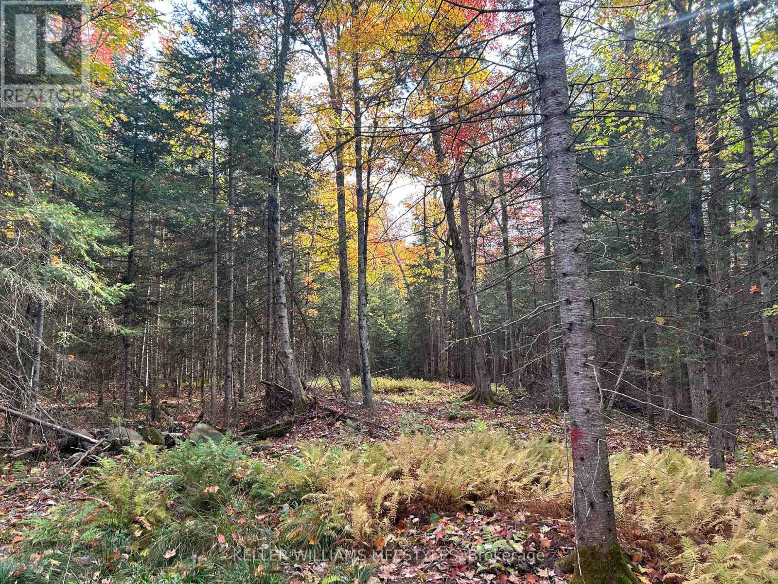3191 Hwy 534, Nipissing, Ontario  P0H 1W0 - Photo 21 - X12111965