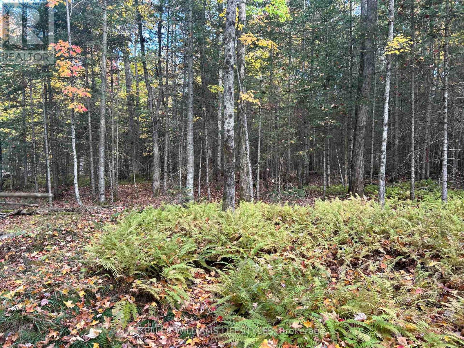 3191 Hwy 534, Nipissing, Ontario  P0H 1W0 - Photo 23 - X12111965