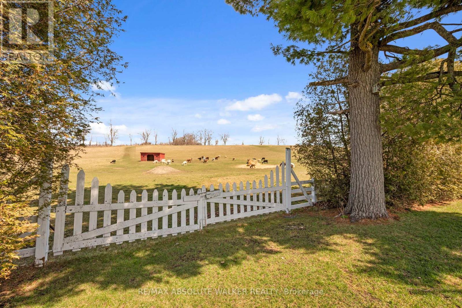 19152 County 25 Road, South Glengarry, Ontario  K0C 1L0 - Photo 40 - X12111926