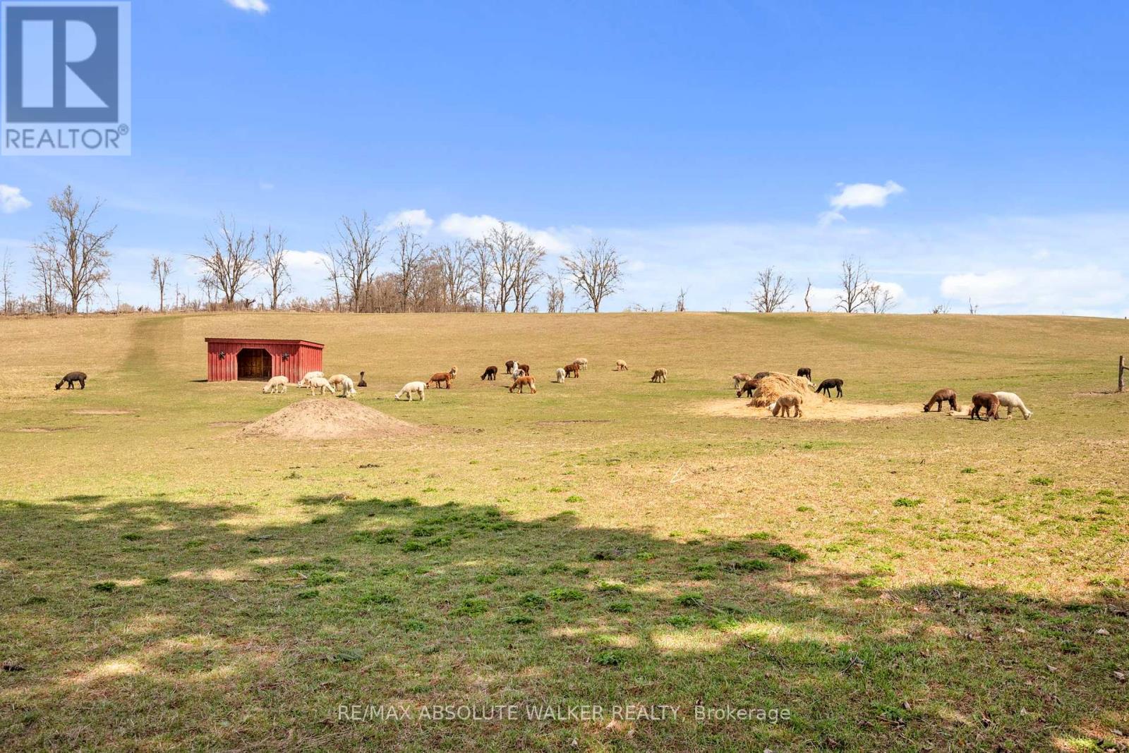 19152 County 25 Road, South Glengarry, Ontario  K0C 1L0 - Photo 42 - X12111926