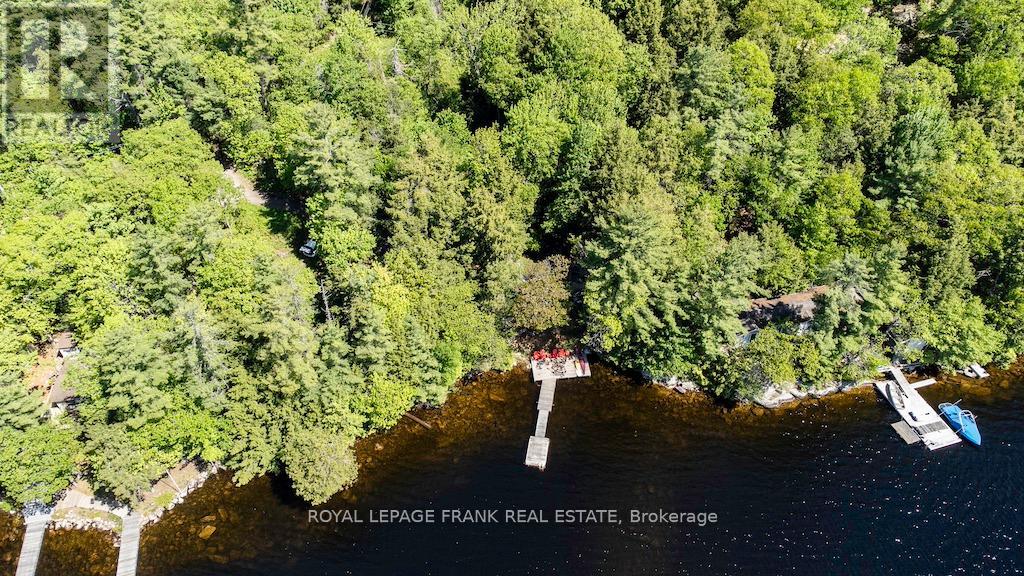 119 Fire Route 242, Trent Lakes, Ontario  K0L 1J0 - Photo 2 - X12112043