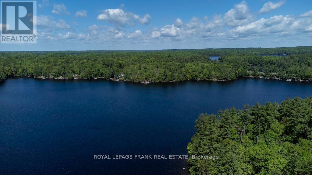 119 Fire Route 242, Trent Lakes, Ontario  K0L 1J0 - Photo 37 - X12112043