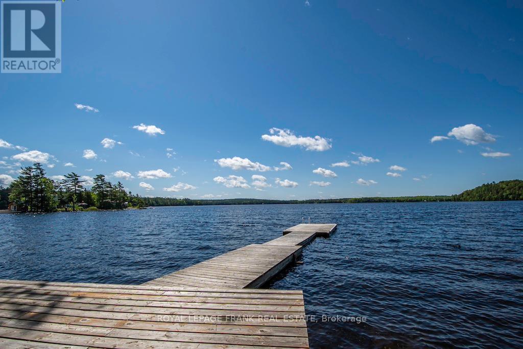 119 Fire Route 242, Trent Lakes, Ontario  K0L 1J0 - Photo 4 - X12112043