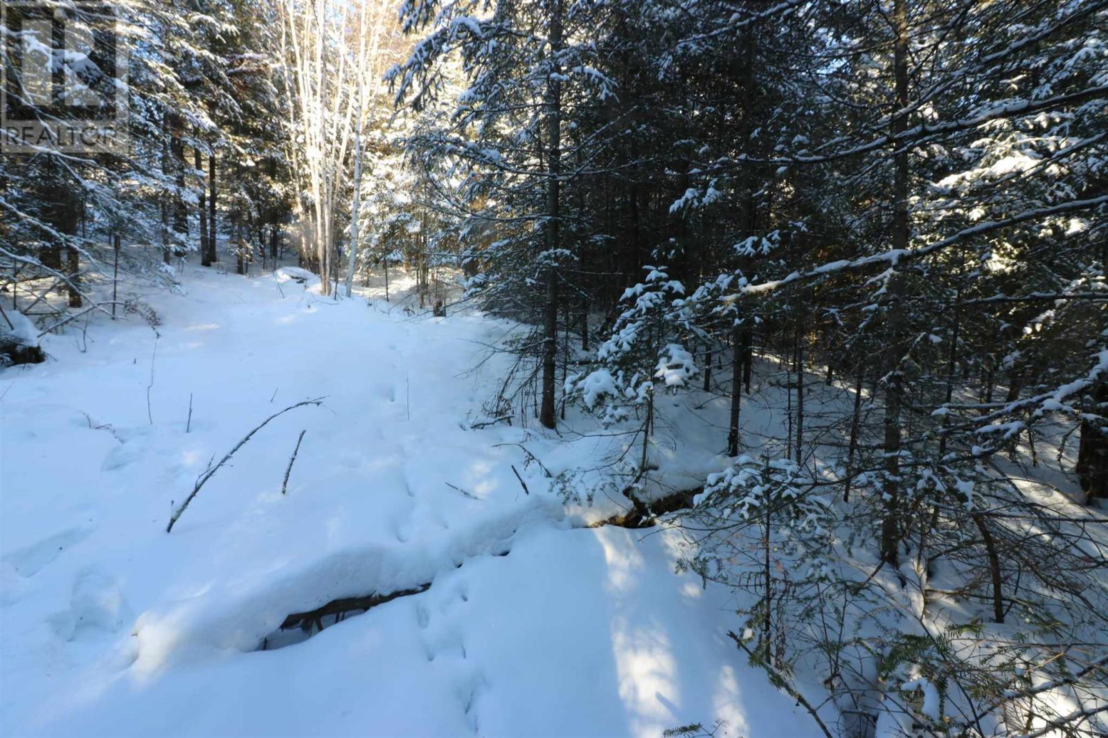 Lot 151 Plan M222, Minaki, Ontario  P0X 1J0 - Photo 30 - TB250064