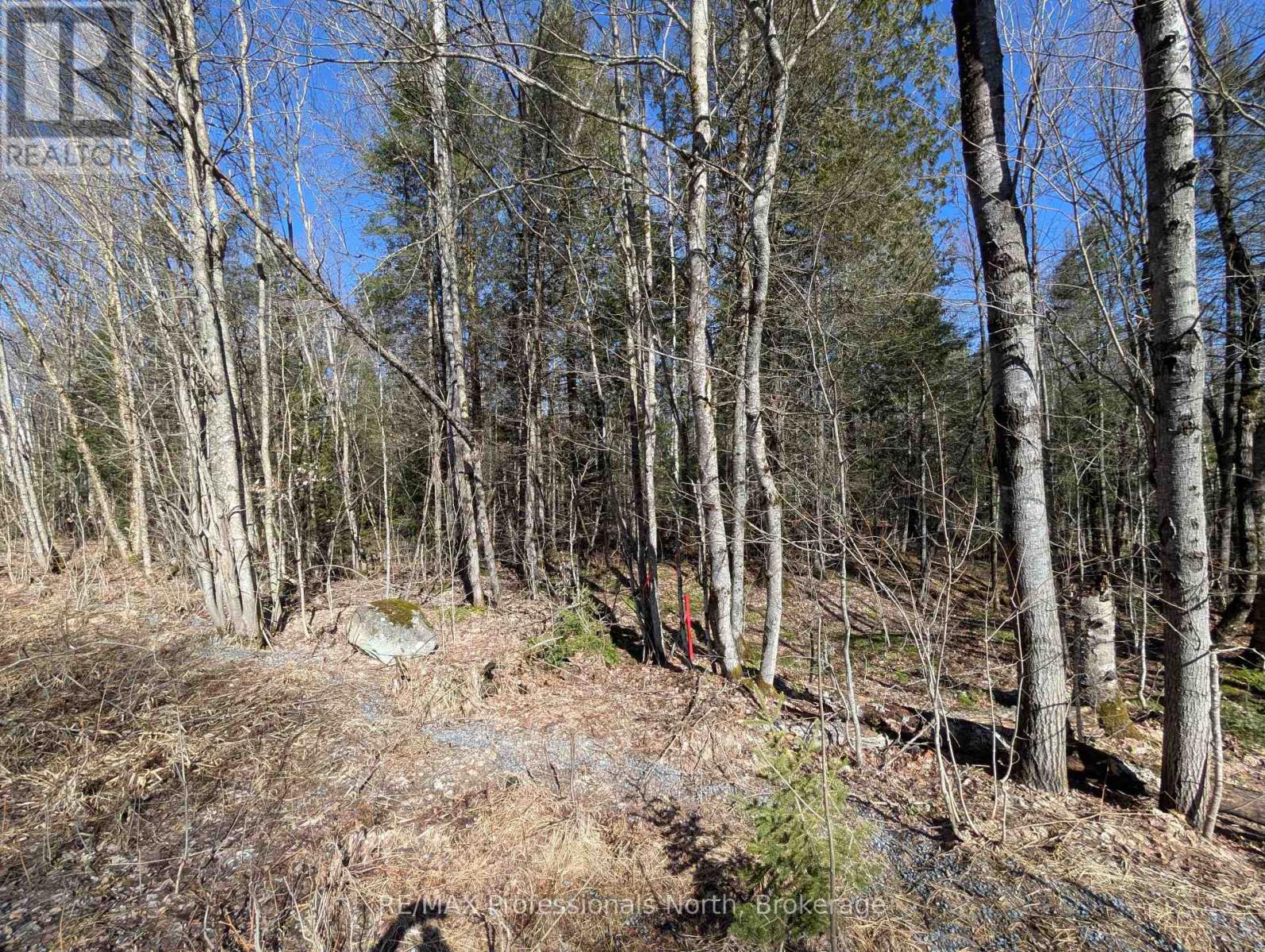 0 Boundary Road, Parry Sound Remote Area, Ontario  P0A 1Z0 - Photo 4 - X12112019