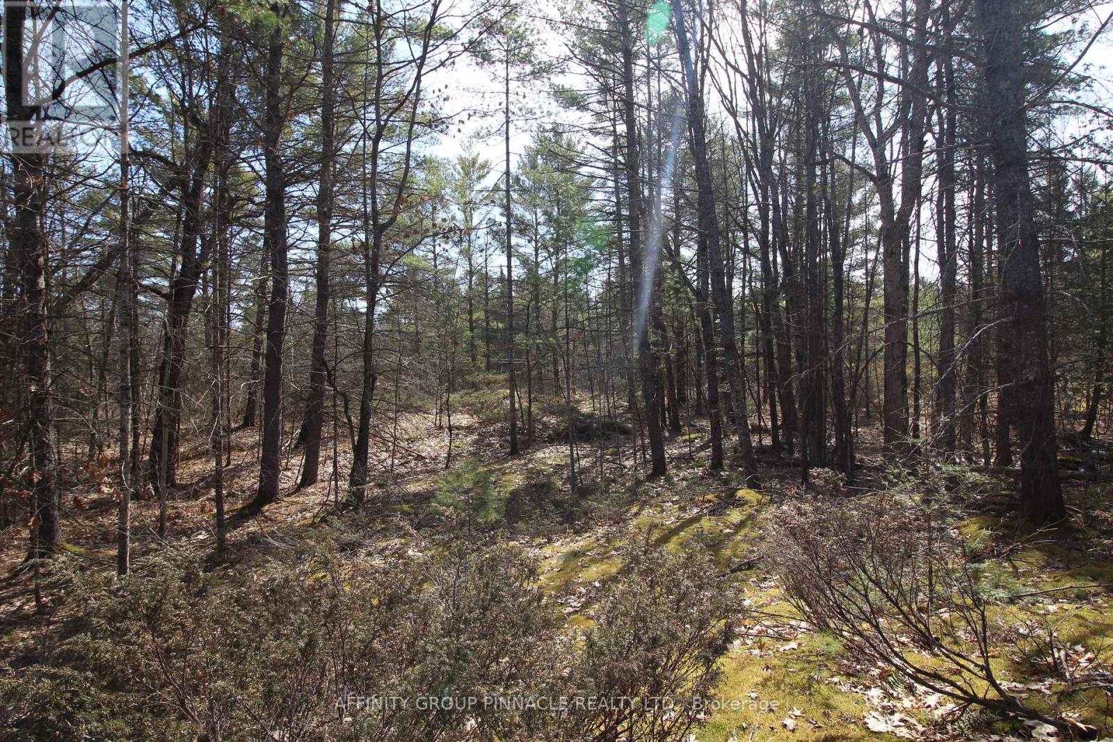 Lot 15 Concession 9, Trent Lakes, Ontario  K0L 1J0 - Photo 1 - X12112195