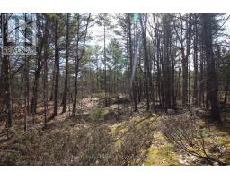 LOT 15 CONCESSION 9, Trent Lakes, Ontario