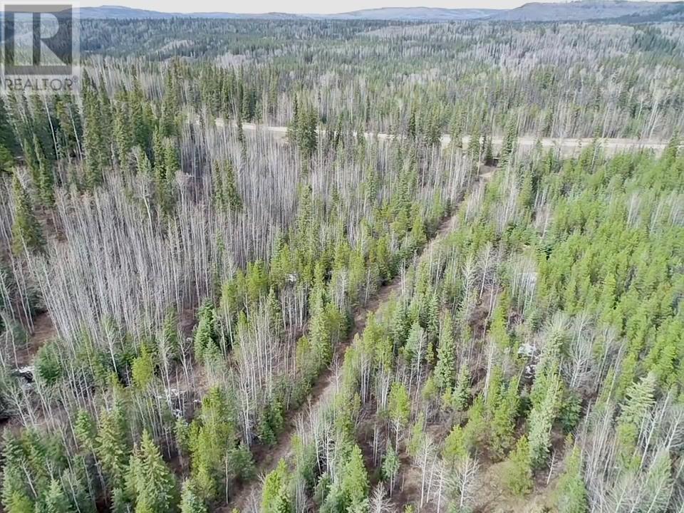 18008 Highway 52, Dawson Creek, British Columbia  V0C 1B0 - Photo 8 - 10344621