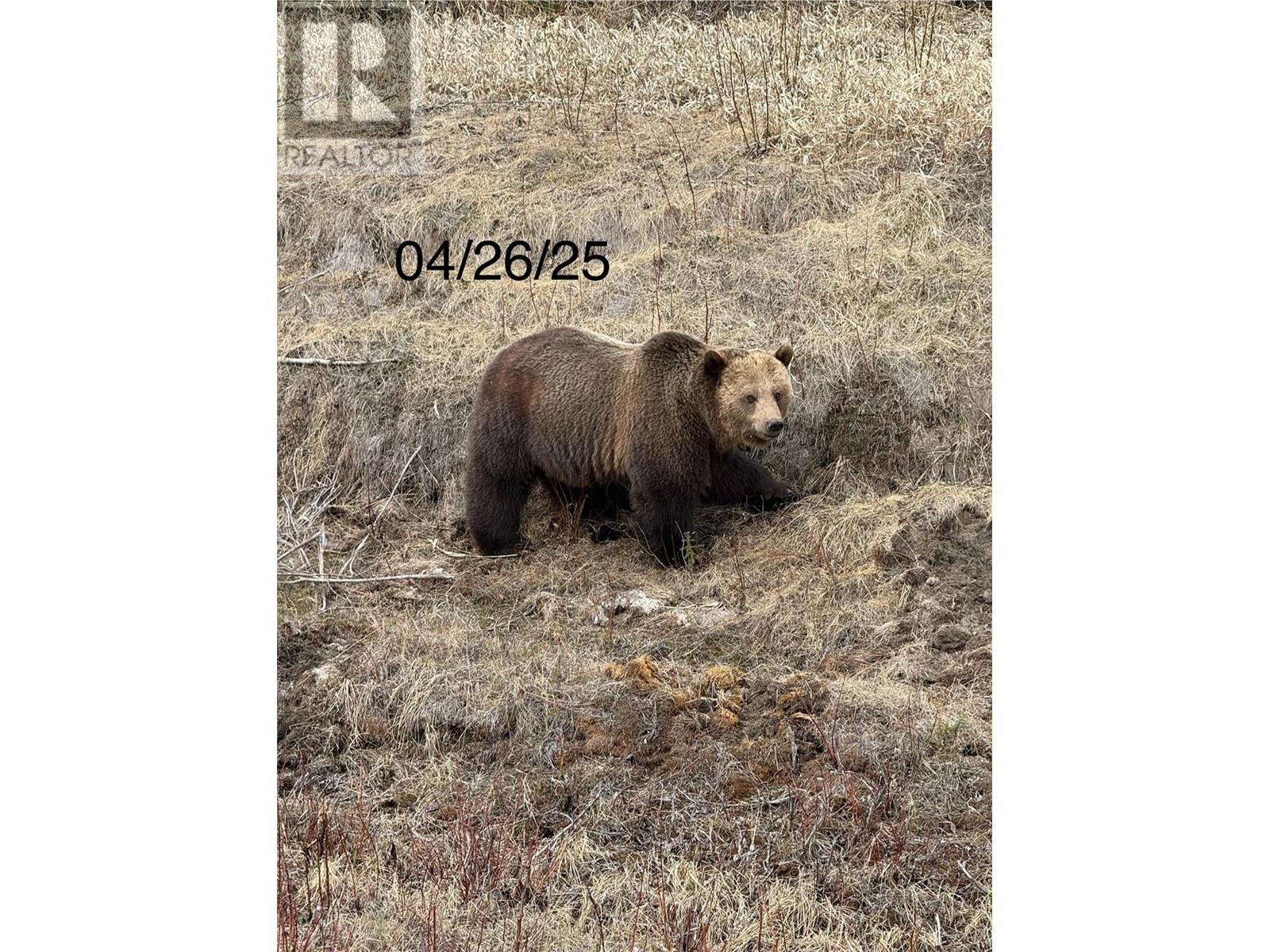 18008 Highway 52, Dawson Creek, British Columbia  V0C 1B0 - Photo 4 - 10344621