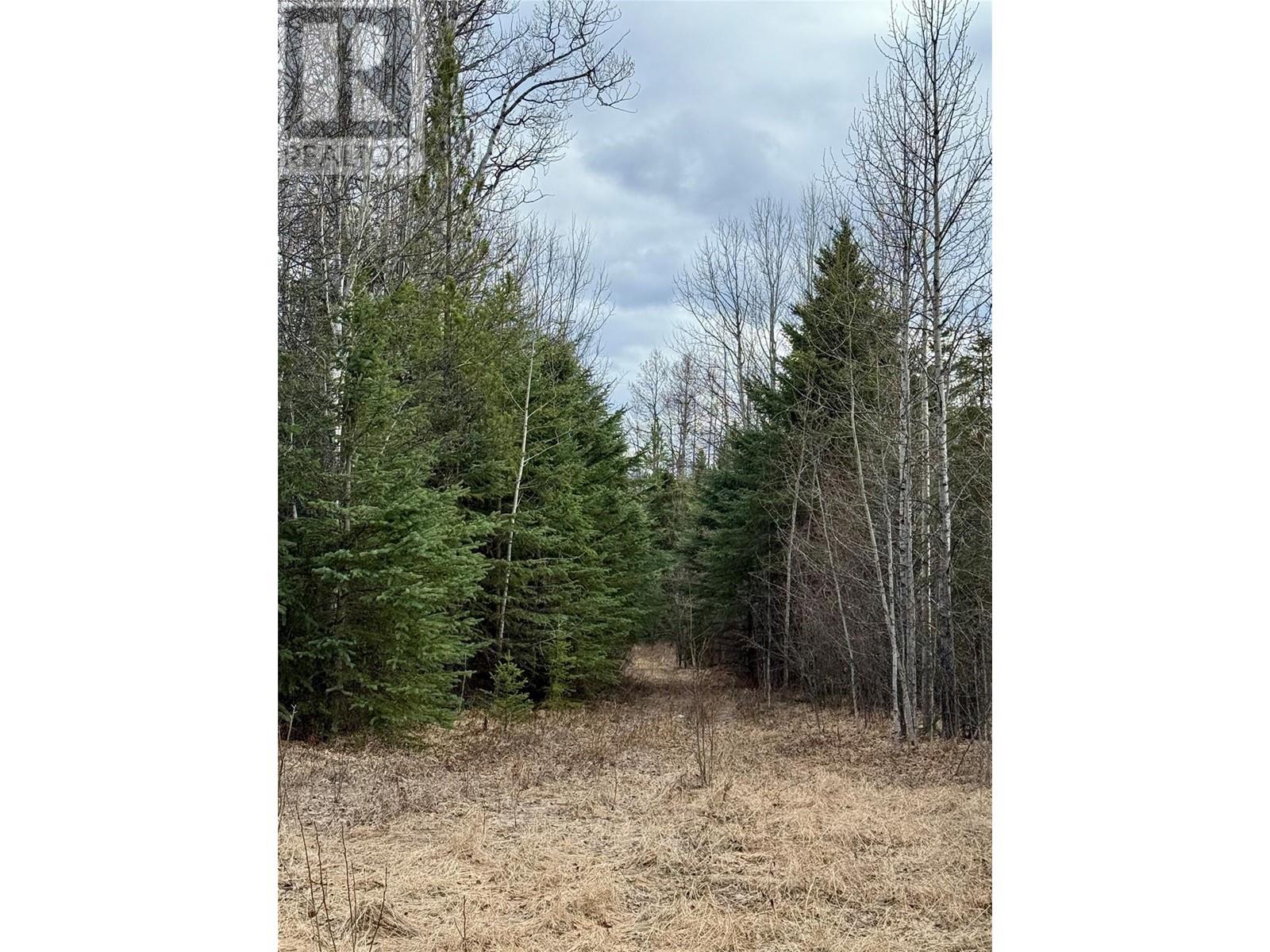 18008 Highway 52, Dawson Creek, British Columbia  V0C 1B0 - Photo 17 - 10344621
