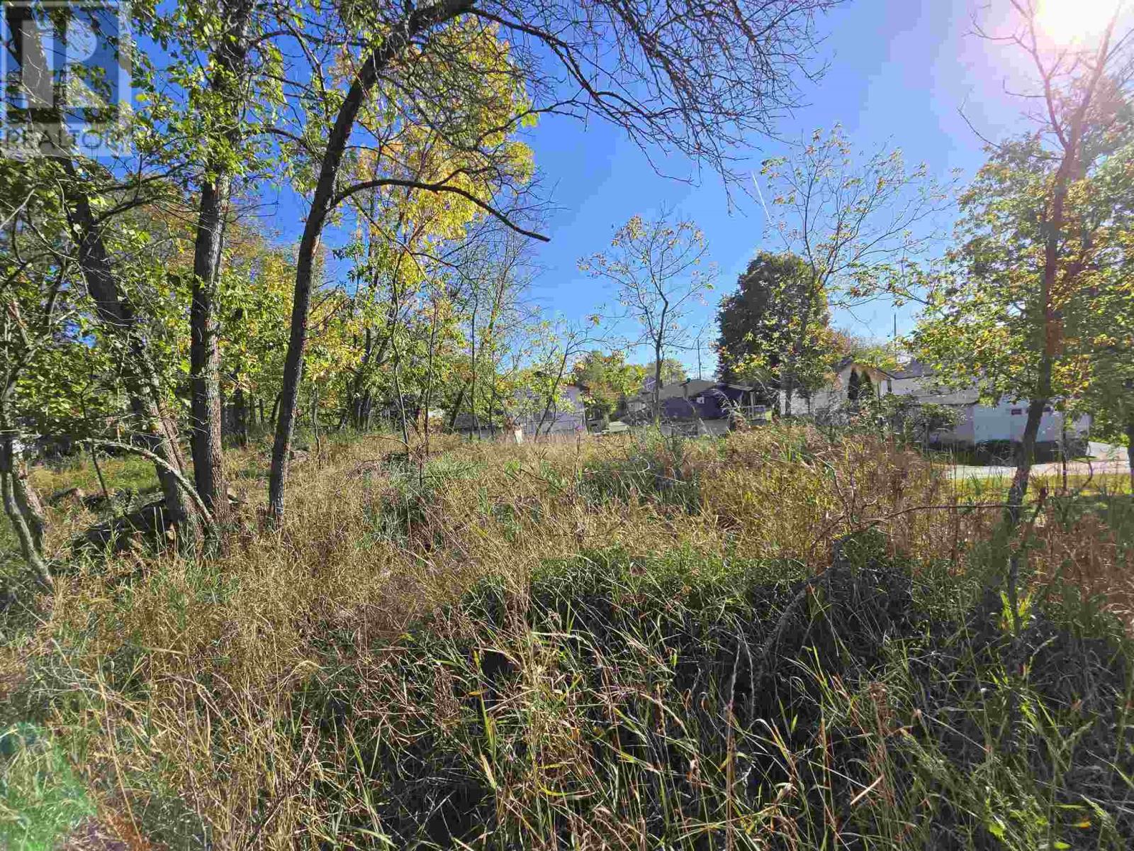 Lot 31 Sixteenth Ave, Kenora, Ontario  P9N 3N1 - Photo 6 - TB250908