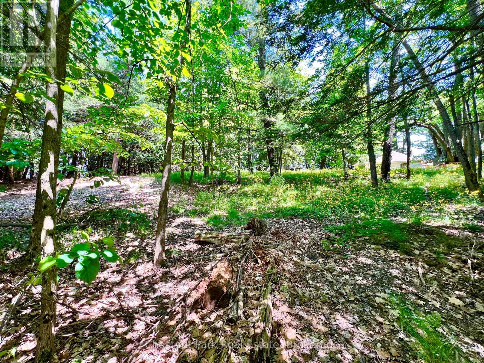 1 Cedar Island, Muskoka Lakes, Ontario  P0B 1J0 - Photo 13 - X12112330