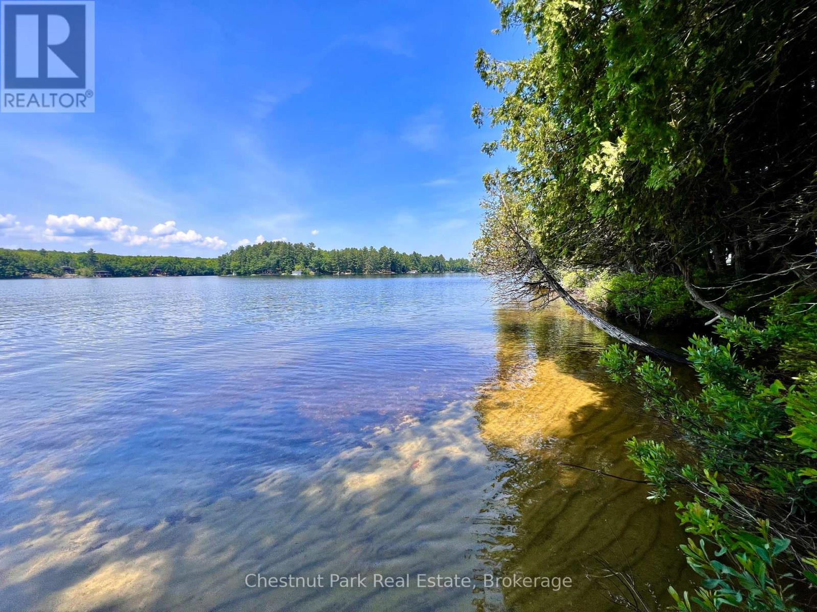 1 Cedar Island, Muskoka Lakes, Ontario  P0B 1J0 - Photo 15 - X12112330