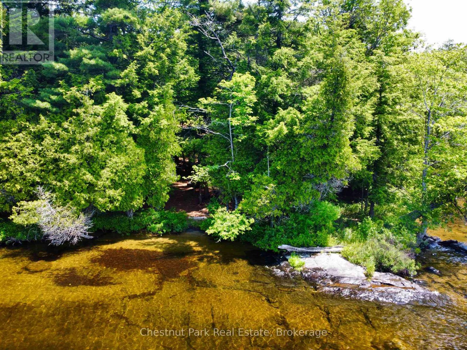 1 Cedar Island, Muskoka Lakes, Ontario  P0B 1J0 - Photo 18 - X12112330